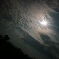 ximenacruz790