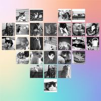 オリジナル楽曲 - JASMINE