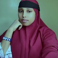 hamdihonest53