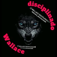 wallace_disciplinado