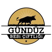 orijinal ses