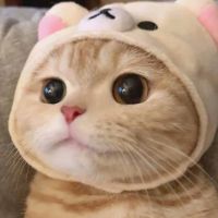 오리지널 사운드 - 해피유머