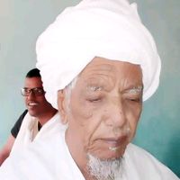 الصوت الأصلي