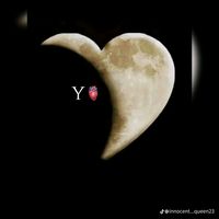 yho227tiktok.comyho2