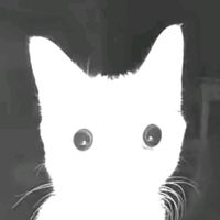 suara asli - Harzi