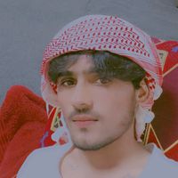 dildarahmed381