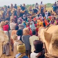 الصوت الأصلي