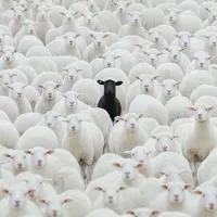 original sound - banks_kirk