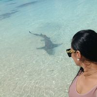 toetamaandmatahiarii