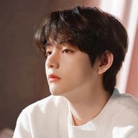 luuhoang021003