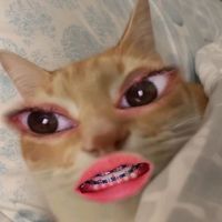 amrhsfiah