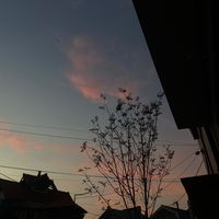 suara asli - serlinova
