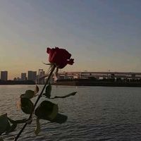 オリジナル楽曲 - 🤍