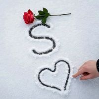 sevgi_m242