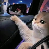 original sound - pike.yuiak983.0