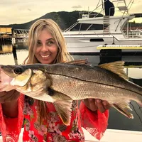 As coroas de hoje em dia