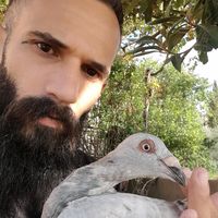hassan.aboud.bird
