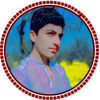 haseeb__jani__1