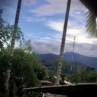 nhạc nền - Nhạcchill🎶🎶