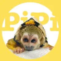 original sound - monkey.pipi