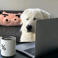 เสียงต้นฉบับ - cutiepimmi