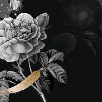 _dawn_1