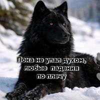 МНЕ НУЖЕН ПОКОЙ