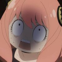 シカゼシブンブンお姉さん