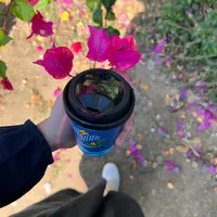 original sound - its.bara2h