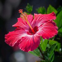 original sound - user2923722464355