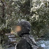 zaoui32