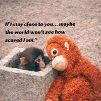 original sound - refreshtop