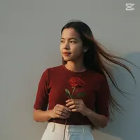 original sound - tz821