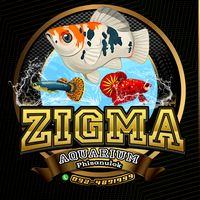 zigmaaquar