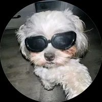 original sound - arffff.9