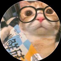 cattee_013