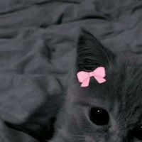 jenniferespinoza_12