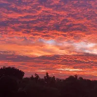 original sound - dragonseedless_