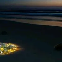 original sound - introverthajae