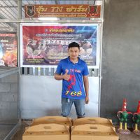 tnanpon2