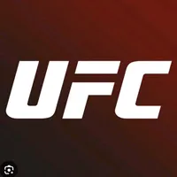 original sound - ufc.595