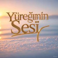 yuregiminsesi34