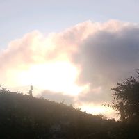 ferchi_4563