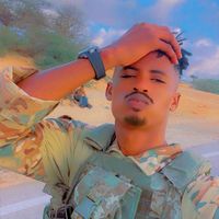 wiilqaran942