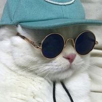 オリジナル楽曲 - ヲター楽 〜推しが可愛すぎる件〜