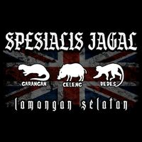 suara asli - 🔰SEPESIALIS JAGAL_24🔰