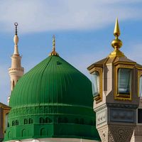 riyahalsaqr2