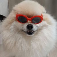 nhạc nền - Winnie 🐯