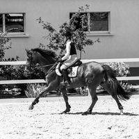 оригинальный звук