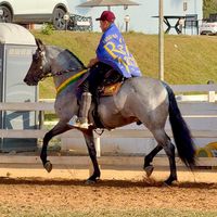 gustavo_pgoncalves
